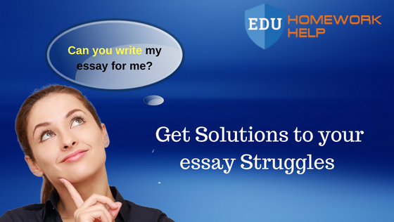 Five Tips to Develop Essay Writing Brilliance A Guide to Write Successful Essay 